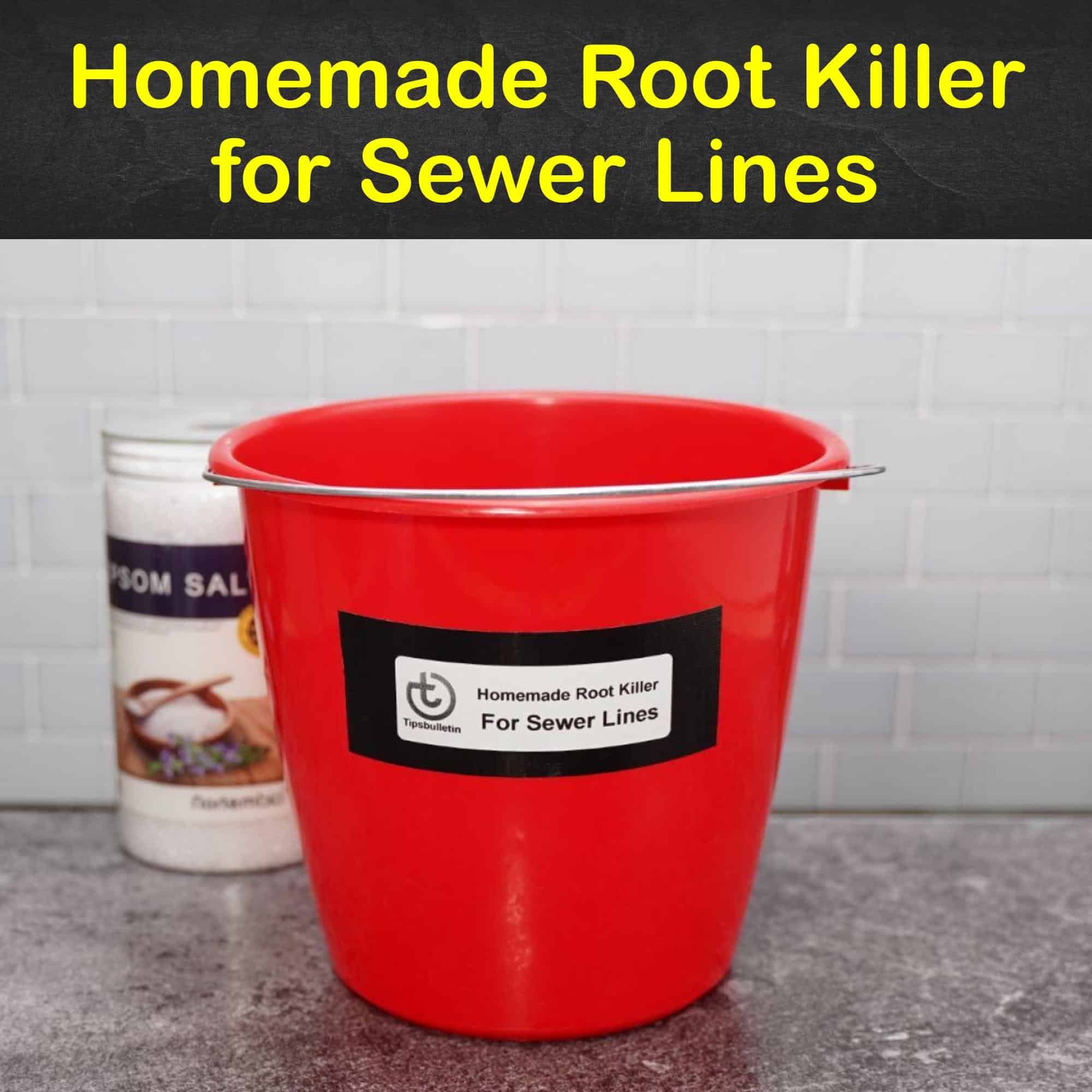 5 Homemade Root Killer for Sewer Lines Tips and Recipes