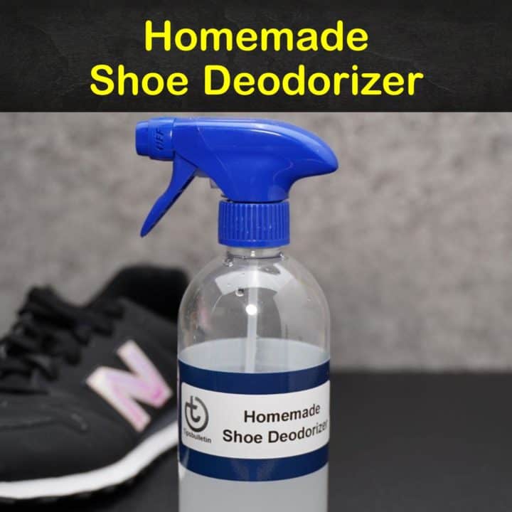 Homemade Shoe Deodorizer