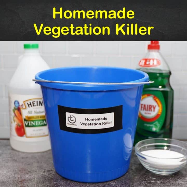 Homemade Vegetation Killer