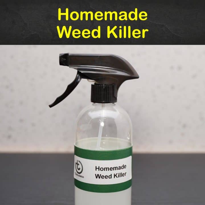 Homemade Weed Killer