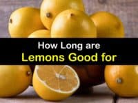 How Long are Lemons Good for titleimg1