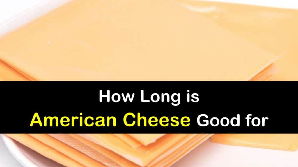 How Long does American Cheese Last titleimg1