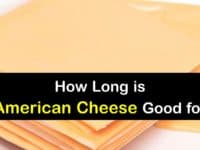 How Long does American Cheese Last titleimg1