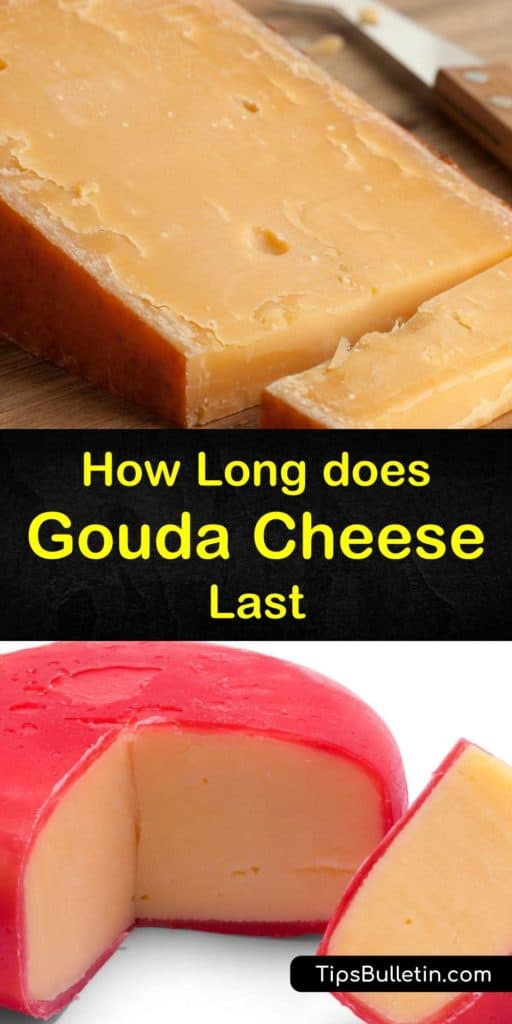 Gouda cheese is a hard cheese and, unlike camembert, feta, and other soft cheeses, it's easy to extend its shelf life by wrapping it in parchment paper and storing it in the fridge or freezing it in aluminum foil. #gouda #cheese #fresh