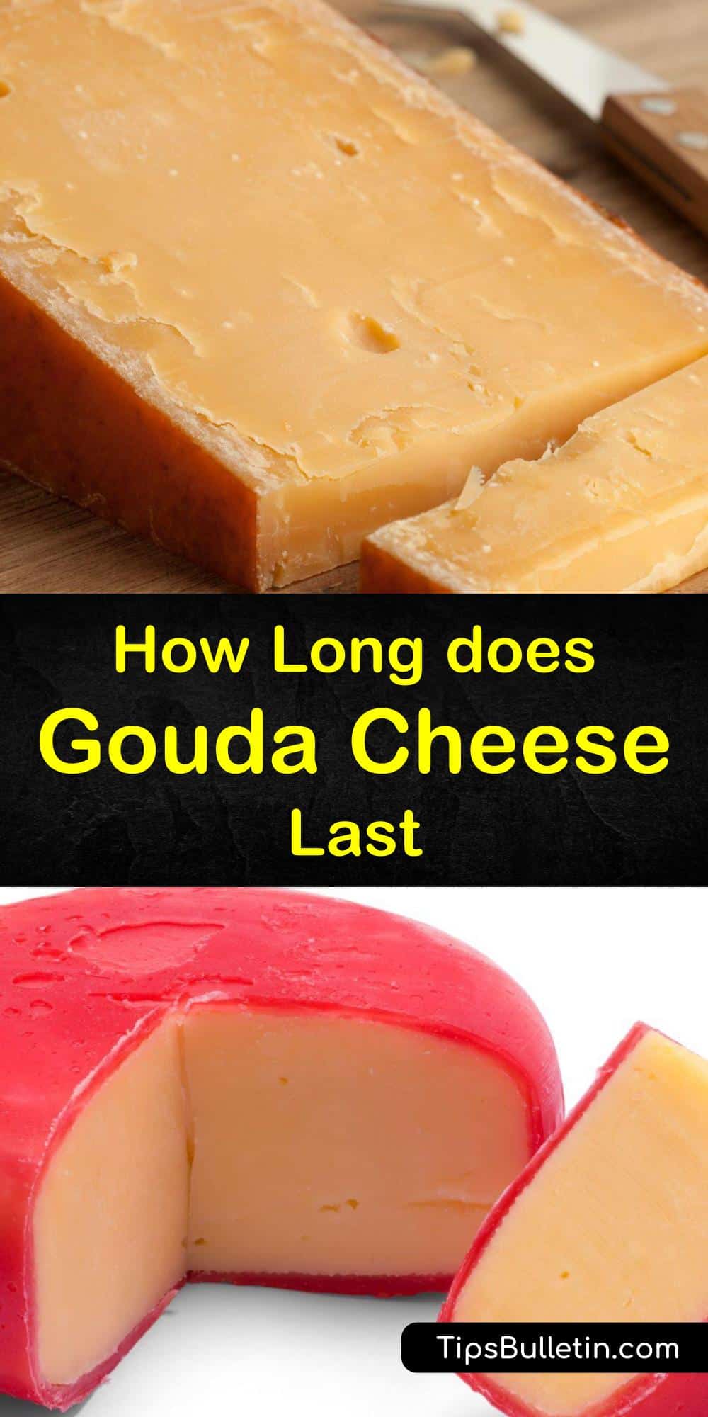 Keeping Gouda Cheese Fresh When does Gouda Go Bad
