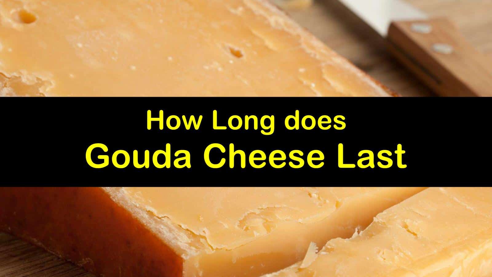 Keeping Gouda Cheese Fresh When does Gouda Go Bad