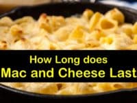 How Long does Mac and Cheese Last titleimg1