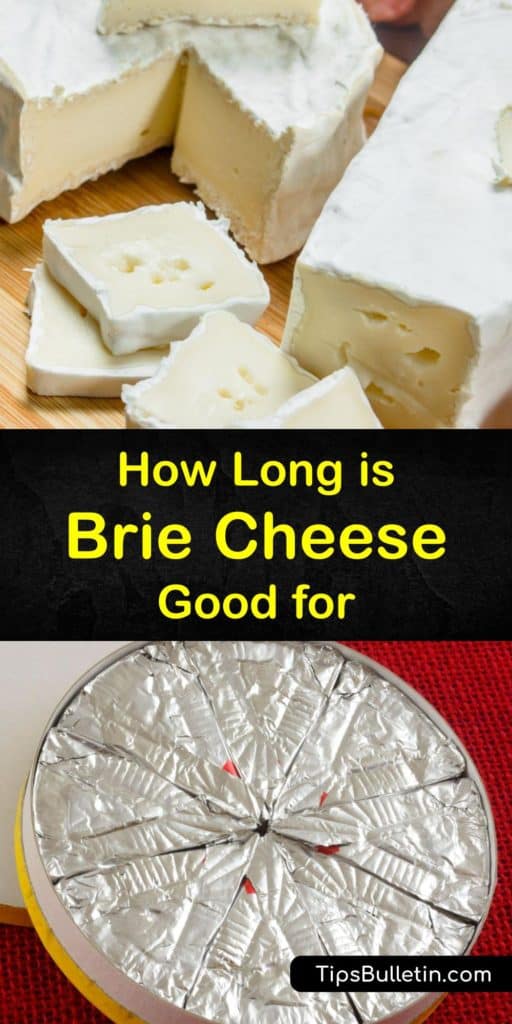 Figure out the shelf life of Brie cheese, why it can’t be imported from France, and how it differs from blue cheese and feta. This article tells you the signs of spoilage, the purpose of an expiration date, and why making cheese last at room temperature isn’t possible. #brie #fresh #storage #fresh
