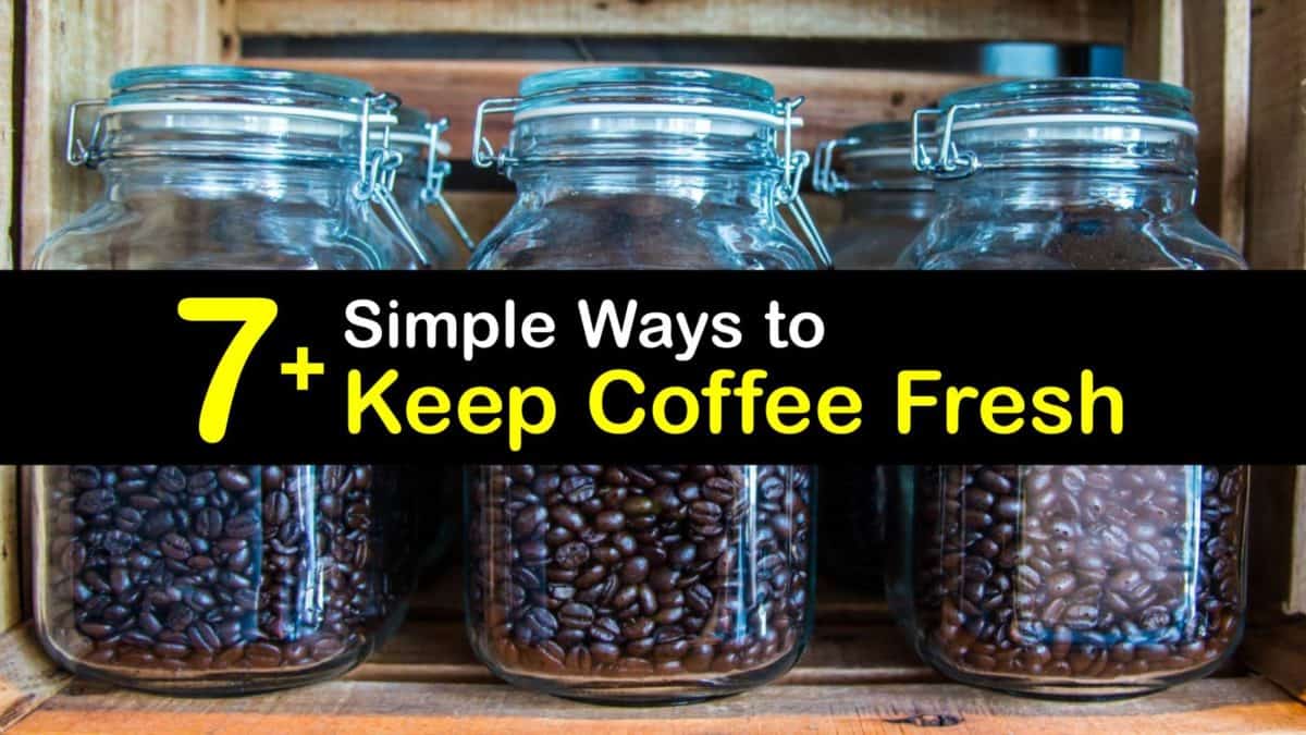 7+ Simple Ways to Keep Coffee Fresh