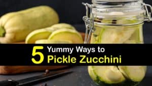 How to Pickle Zucchini titleimg1