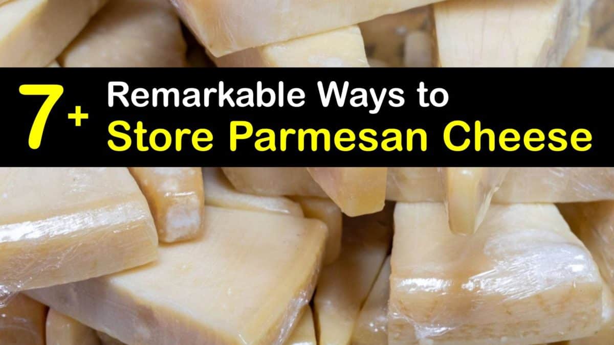 Parmesan Cheese Storage Clever Tricks For Preserving Parmesan Parmesan Cheese Storage Clever Tricks For Preserving Parmesan