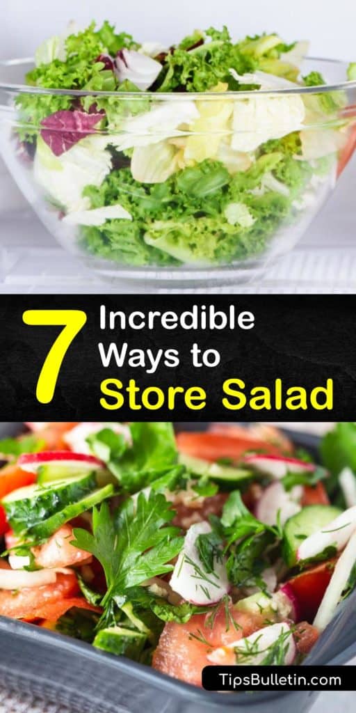 Learn the food storage techniques for your romaine lettuce, arugula, and other veggies. The most effective way to prevent premature wilting of a salad is to store it in a bag or clamshell container inside the fridge's crisper drawer. #howto #store #salad