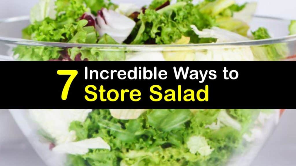 How to Store Salad titleimg1