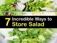 How to Store Salad titleimg1