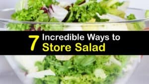 How to Store Salad titleimg1