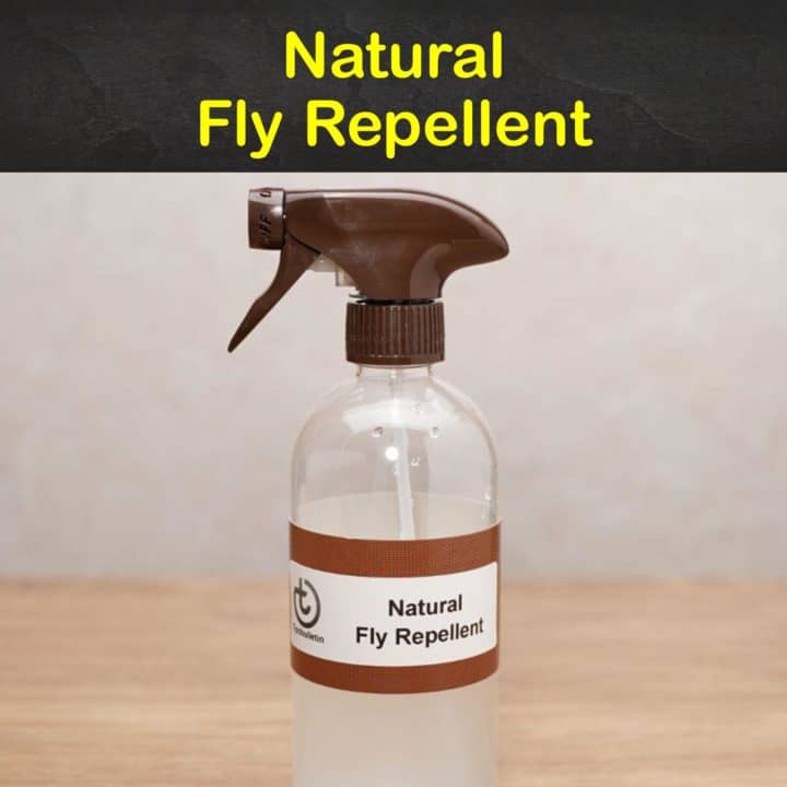 Natural Fly Repellent