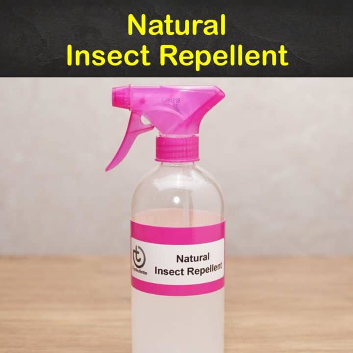 Natural Insect Repellent