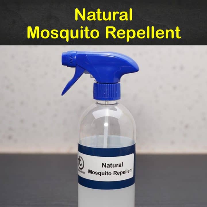 Natural Mosquito Repellent