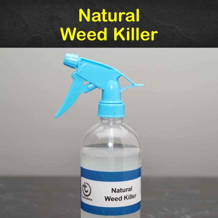 Natural Weed Killer