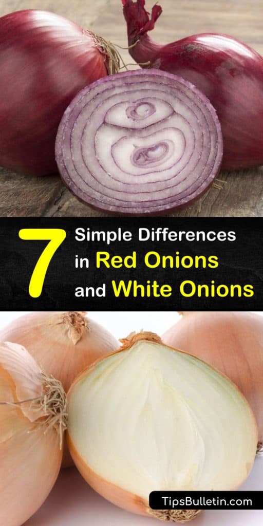 Compare the differences between all types of onions like shallots, Vidalia, leeks, sweet onions, and green onions. This article is full of helpful tips like which onions are best for caramelizing, pickling, or using in Mexican cuisine. #red #onion #white
