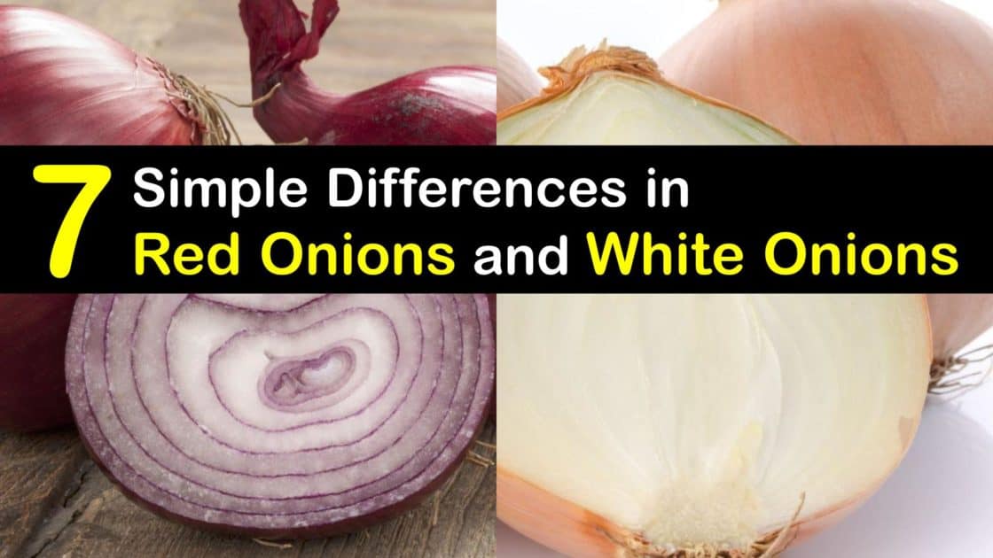 How are White and Red Onions Different