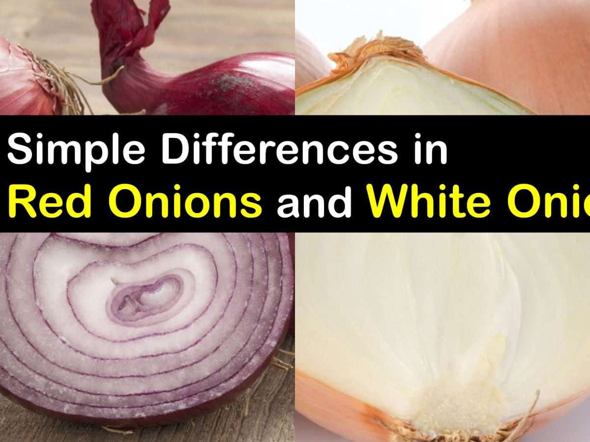 How White and Red Onions Different