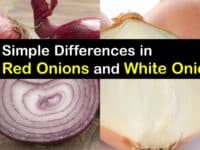 Red Onion vs White Onion titleimg1