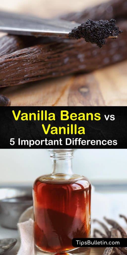 Discover the true Madagascar origins of French vanilla flavoring that you buy from the grocery store and compare the differences of vanilla flavor extract to the tiny flecks of pure vanilla beans that we see in our favorite homemade vanilla ice cream. #beans #vanilla #extract