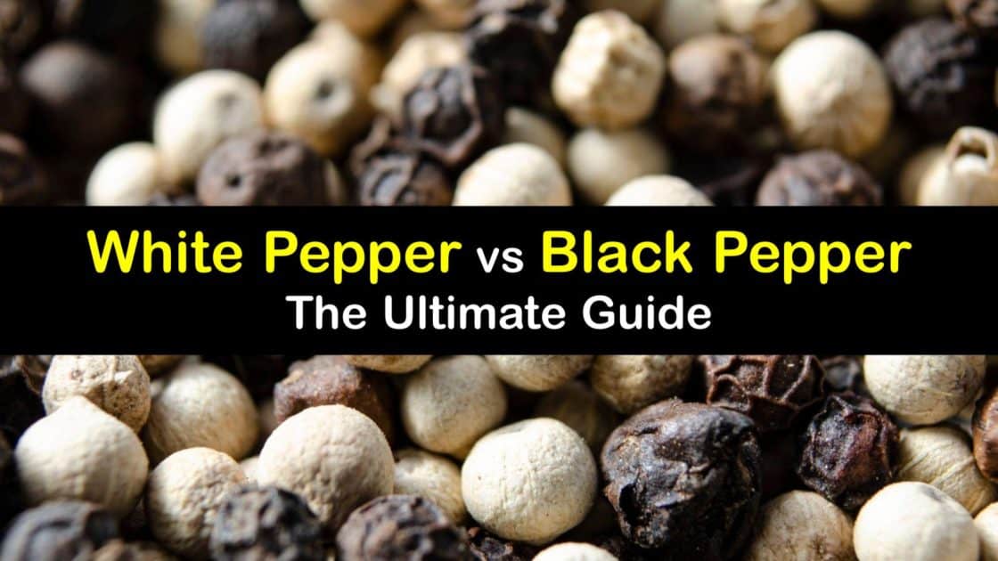 Differences between White and Black Pepper