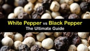 White Pepper vs Black Pepper titleimg1