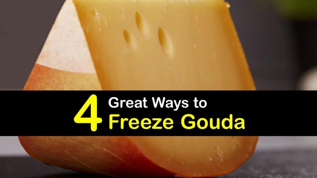 Can You Freeze Gouda Cheese titleimg1