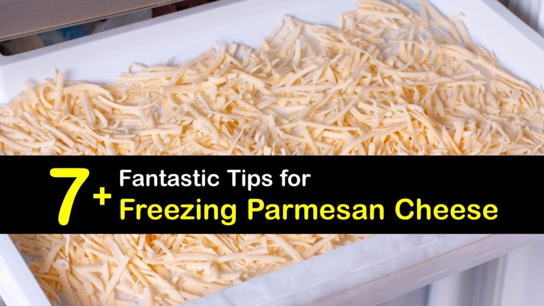 Parmesan Cheese Cold Storage Preserving Parmesan in the Freezer