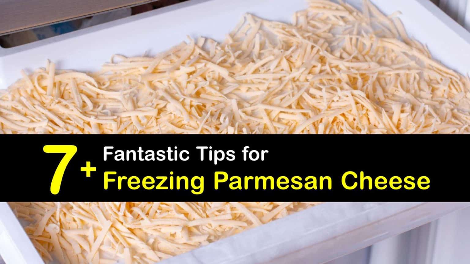 Parmesan Cheese Cold Storage Preserving Parmesan in the Freezer