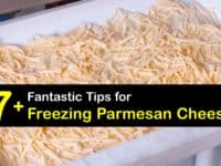 Can You Freeze Parmesan Cheese titleimg1