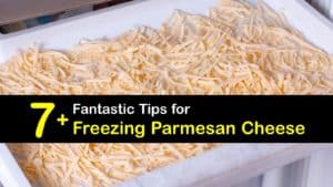 Can You Freeze Parmesan Cheese titleimg1