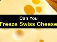 Can You Freeze Swiss Cheese titleimg1