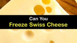 Can You Freeze Swiss Cheese titleimg1