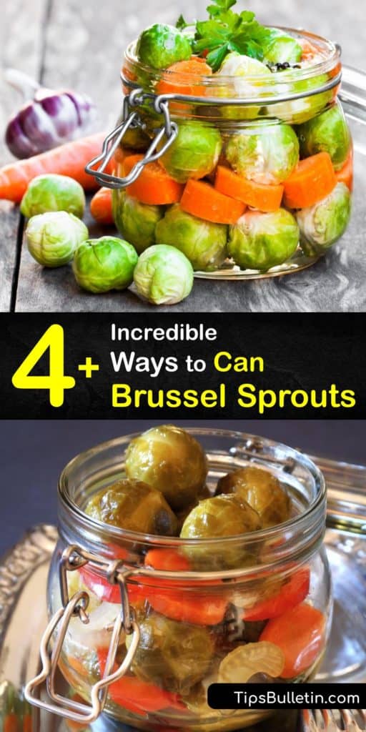 Find out how to can Brussels sprouts with garlic cloves, mustard seeds, and other veggies. They make a great snack or Bloody Mary garnish. Use self-sealing pint jars sealed in a boiling water bath. Make sure to eliminate air bubbles before sealing. #canning #brussels #sprouts