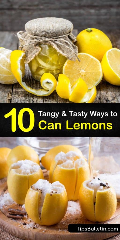 Scroll through this list of recipes for preserved lemons that utilize canning jars and boiling water for long-term storage. Use a Meyer lemon or grapefruit to turn citrusy lemon slices into a delicious lemon curd with hot water or a pickled rind from salt. #canning #lemons #howto