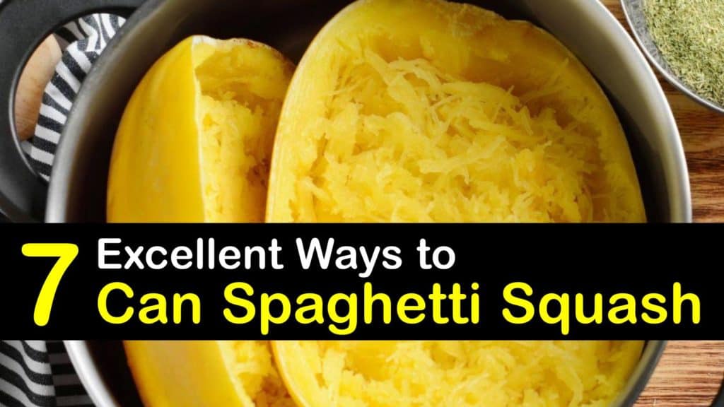 Home Canning Ideas for Spaghetti Squash - Food Preservation Tricks