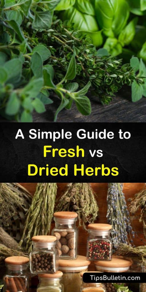 Learn to substitute the herbs a recipe calls for with all your favorites like fresh rosemary, oregano, tarragon, chives, and coriander. With tips like using fresh herbs at the end of cooking and dry herbs for storage, you’ll be swapping dried basil with fresh like a pro. #fresh #dried #herbs