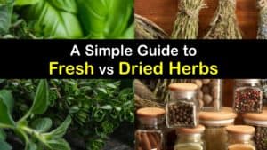 Fresh vs Dried Herbs titleimg1