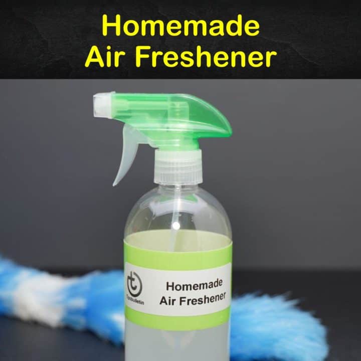 Homemade Air Freshener