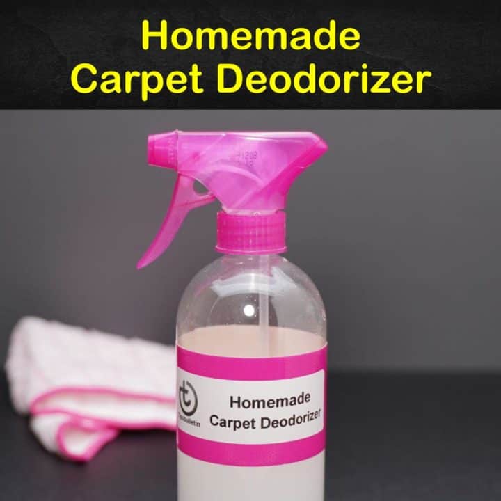 Homemade Carpet Deodorizer