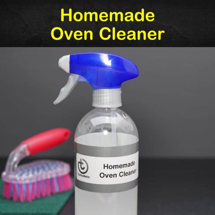 Homemade Oven Cleaner