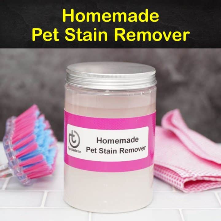 Homemade Pet Stain Remover