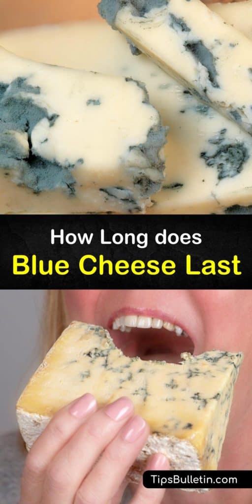 Discover ways to store Gorgonzola and other types of blue cheese, whether you enjoy the creamy part or crumbly part of the cheese. We show you how to wrap it in parchment paper in the fridge or keep it in an airtight container in the freezer. #blue #cheese #storage #fresh