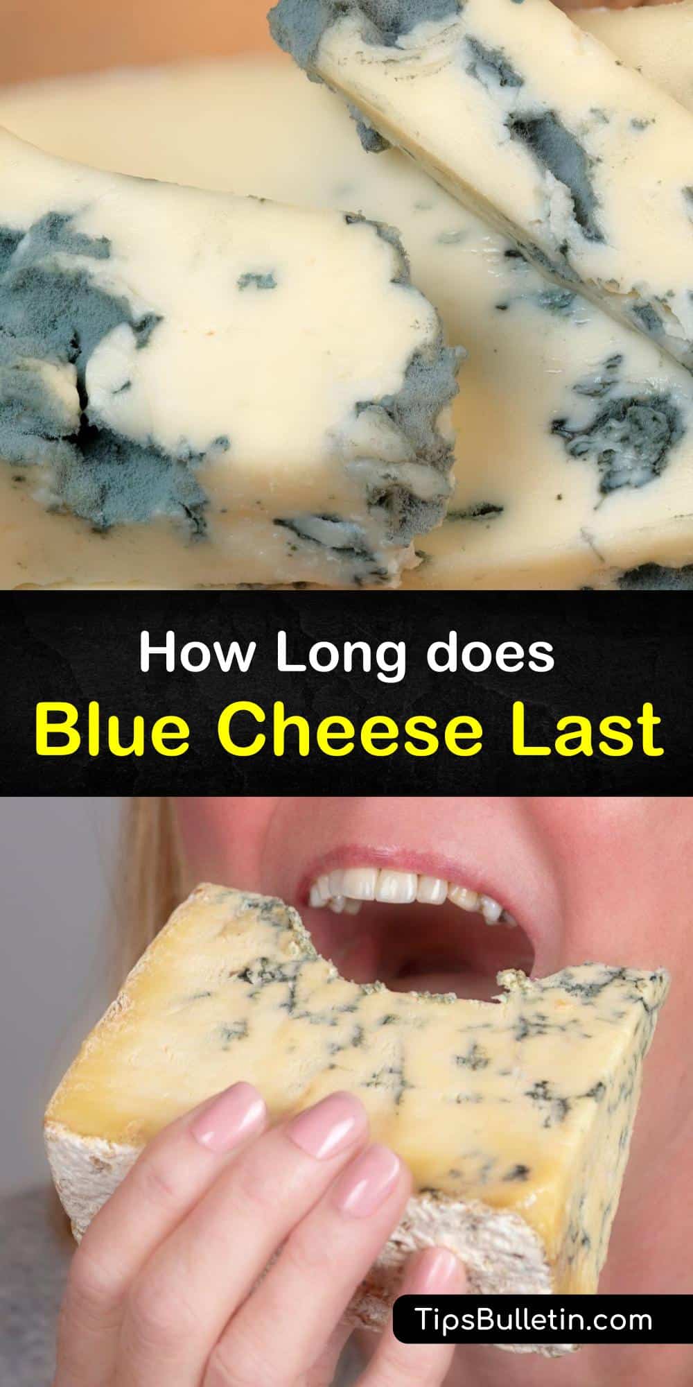 Keeping Blue Cheese Fresh When does Blue Cheese Go Bad