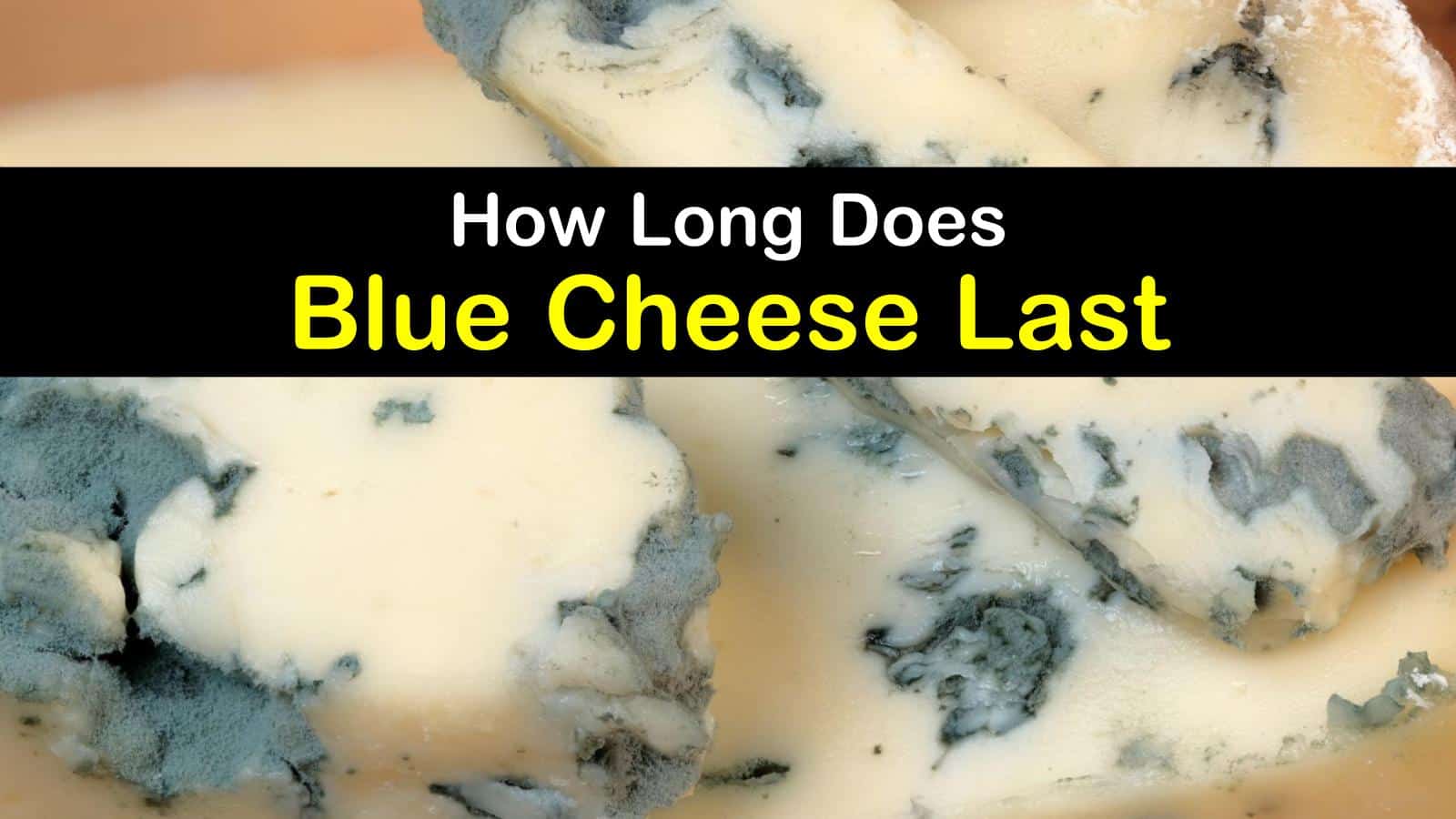 Keeping Blue Cheese Fresh When does Blue Cheese Go Bad