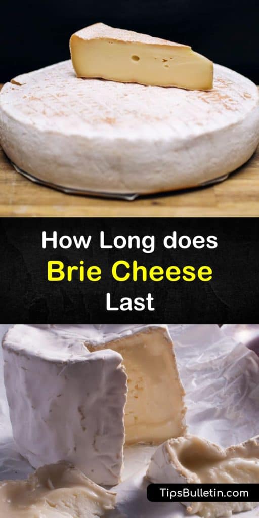 Find out how to make brie cheese last as long as possible. Brie cheese keeps for up to eight weeks unopened, and two weeks after opening. Leaving it out at room temperature shortens its shelf life. Frozen brie is best used in cooked dishes. #brie #cheese #fresh